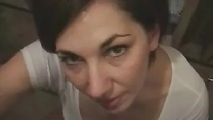 Datum crvenkaste maca s prijateljem