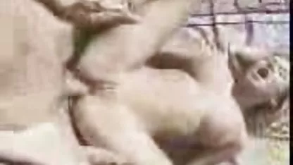 Došao sam se ispričati lijepoj djevojci i istodobno je jebeno u magarcu